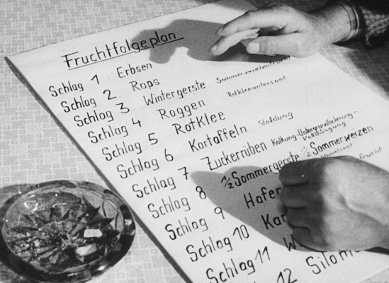 Szenenphoto: 2 x Bilanz, Deutsche Demokratische Republik (DDR) 1964. 2 x Bilanz © DEFA-Stiftung, Hartmut Fischer