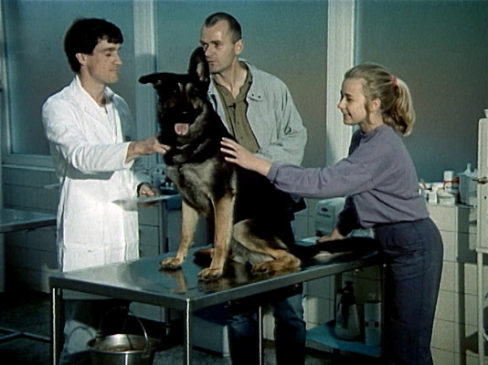 Szenenphoto: So ein Hundeleben, Deutsche Demokratische Republik (DDR) 1990. So ein Hundeleben © DEFA-Stiftung, Herbert Kempe