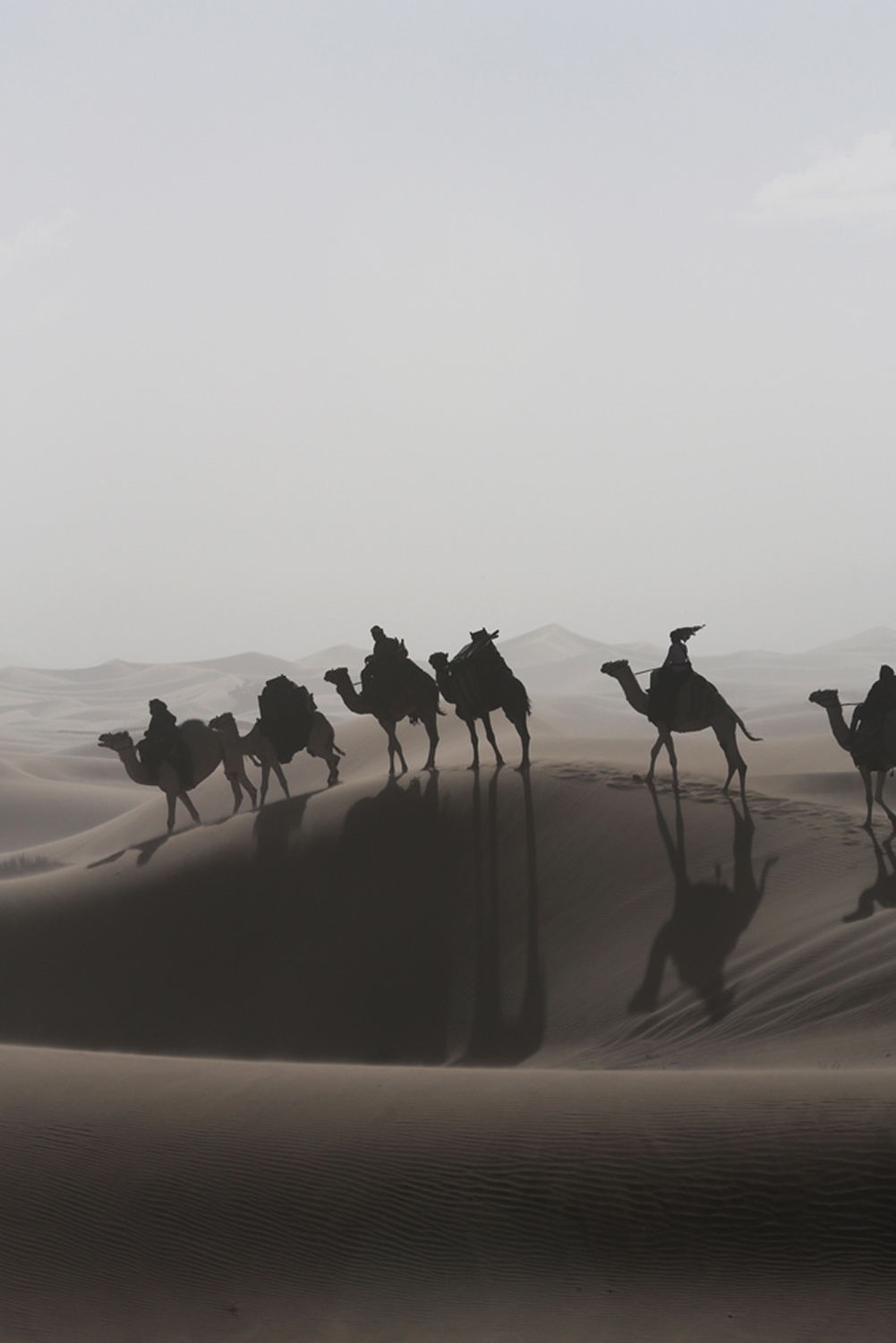 Six camels are ridden through the desert, they stand on the slope of a dune and the sun casts the shadows into the valley.