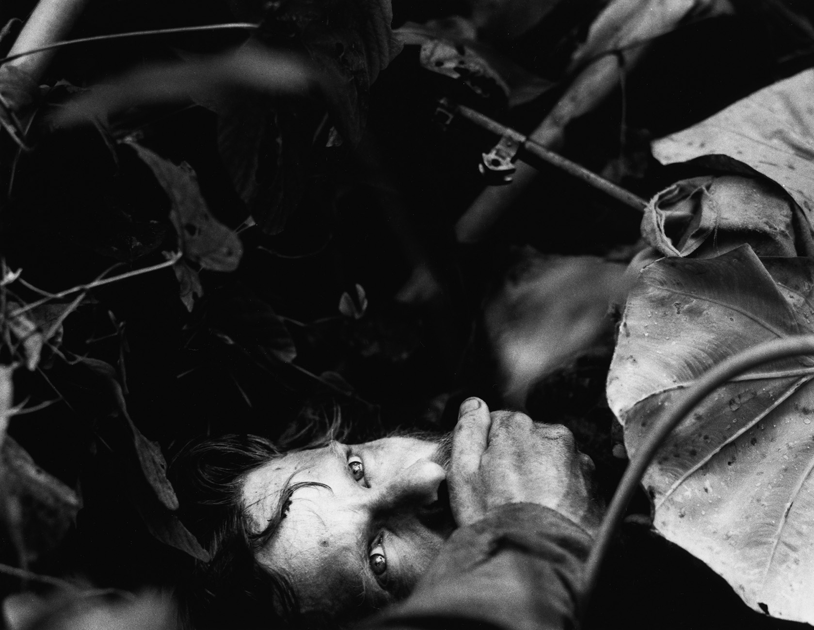 Black and white photo: Between jungle plants the face of a man. His mouth is held shut with one hand.