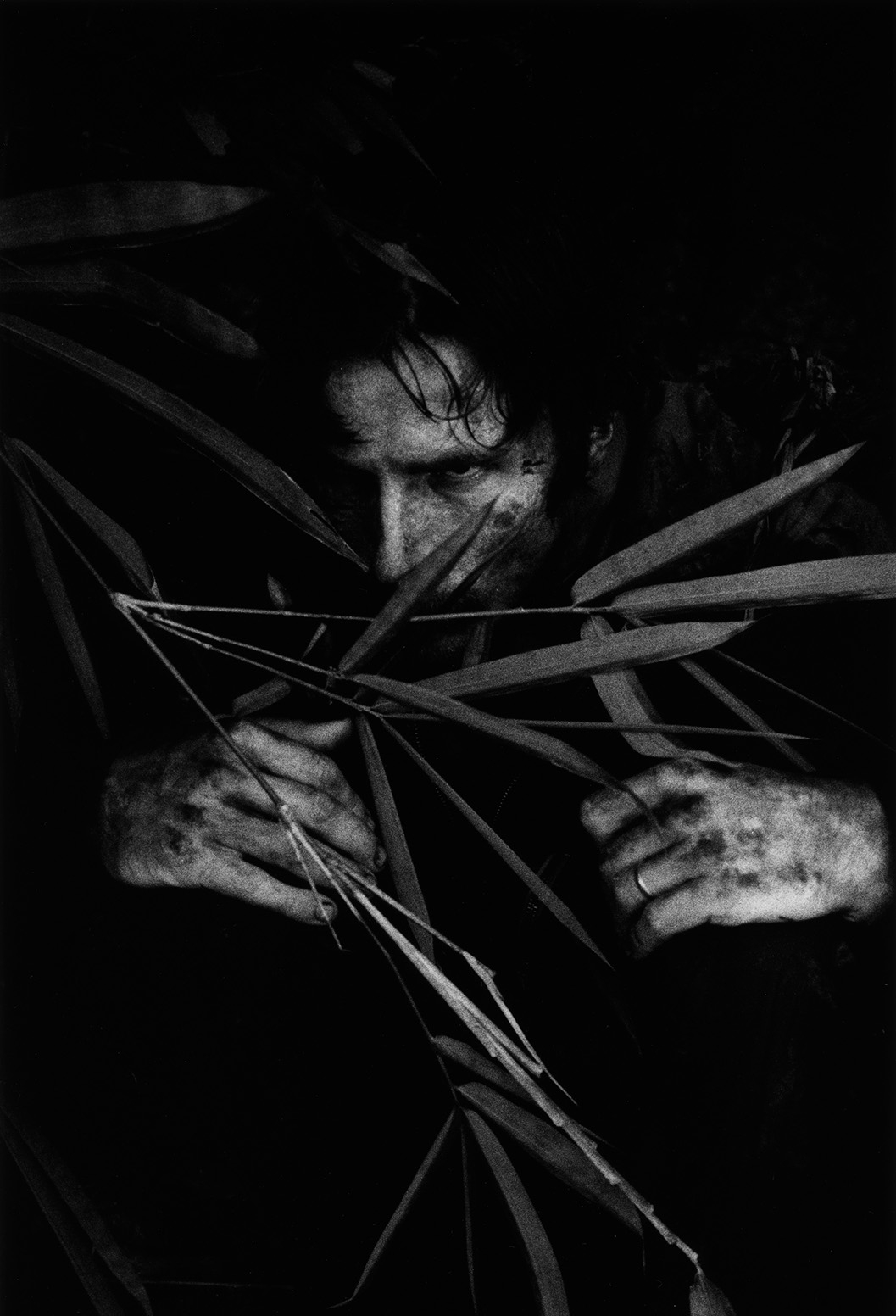 Black and white photo: A man looks grimly through the leaves of a jungle plant.