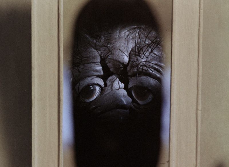 Dunkles Puppengesicht schaut durch einen Türspalt.