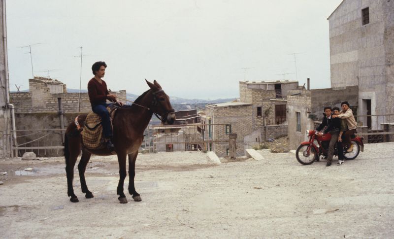 Links im Vordergrund sitzt ein junger Mann auf einem Esel, rechts sitzen drei Jungendliche auf einem Moped. Im Hintergrund sieht man über die Dächer einer italienischen Stadt bis zum Horizont.