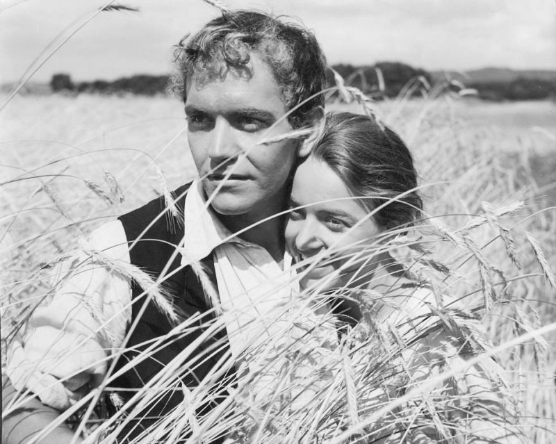 Black and white still: A man and a woman are smiling, standing with their arms around each other in a corn field.