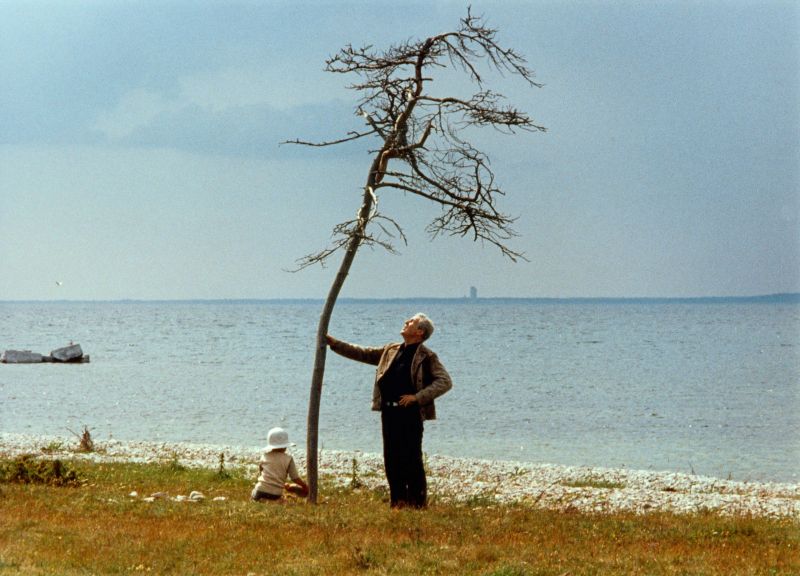 Ein einsamer, kahler Baum am Ufer eines Sees. Ein Mann steht an dem Baum, ein Kind sitzt daneben.