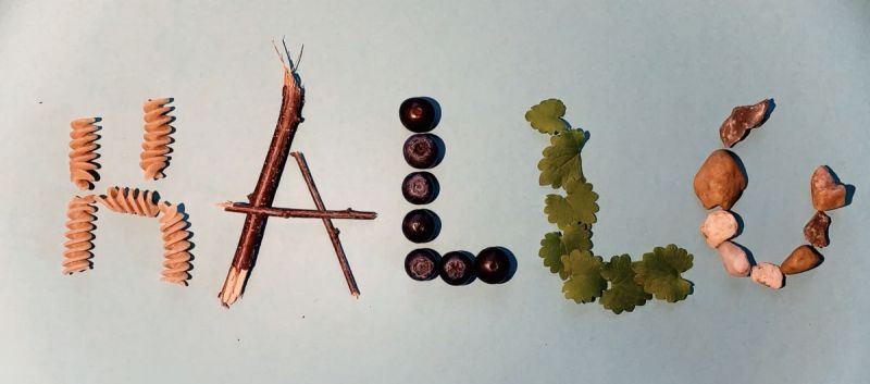 Screnshot from a animated film workshop: The word "Hallo" laid out with noodles, sticks, bluesberries, nuts and leaves.