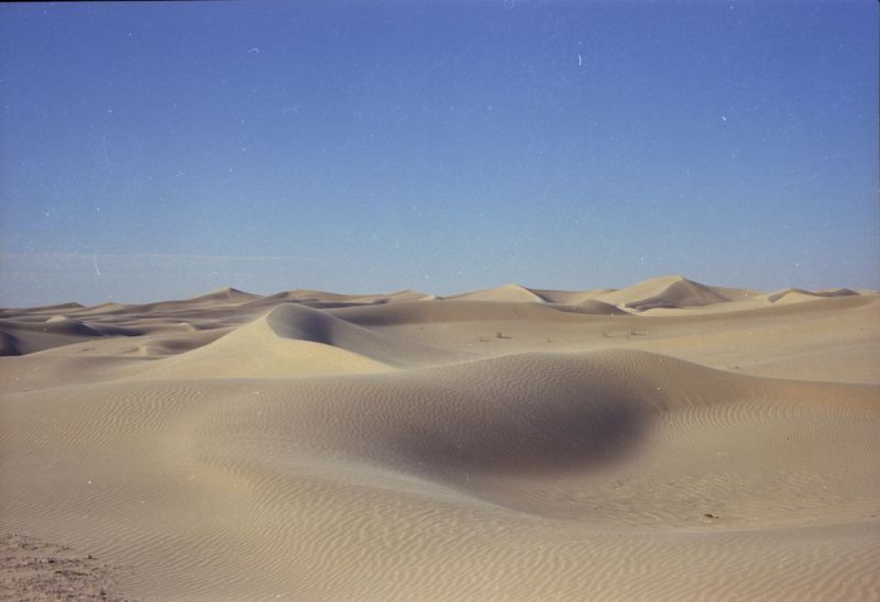 Sand dunes in the desert under bright blue skies.