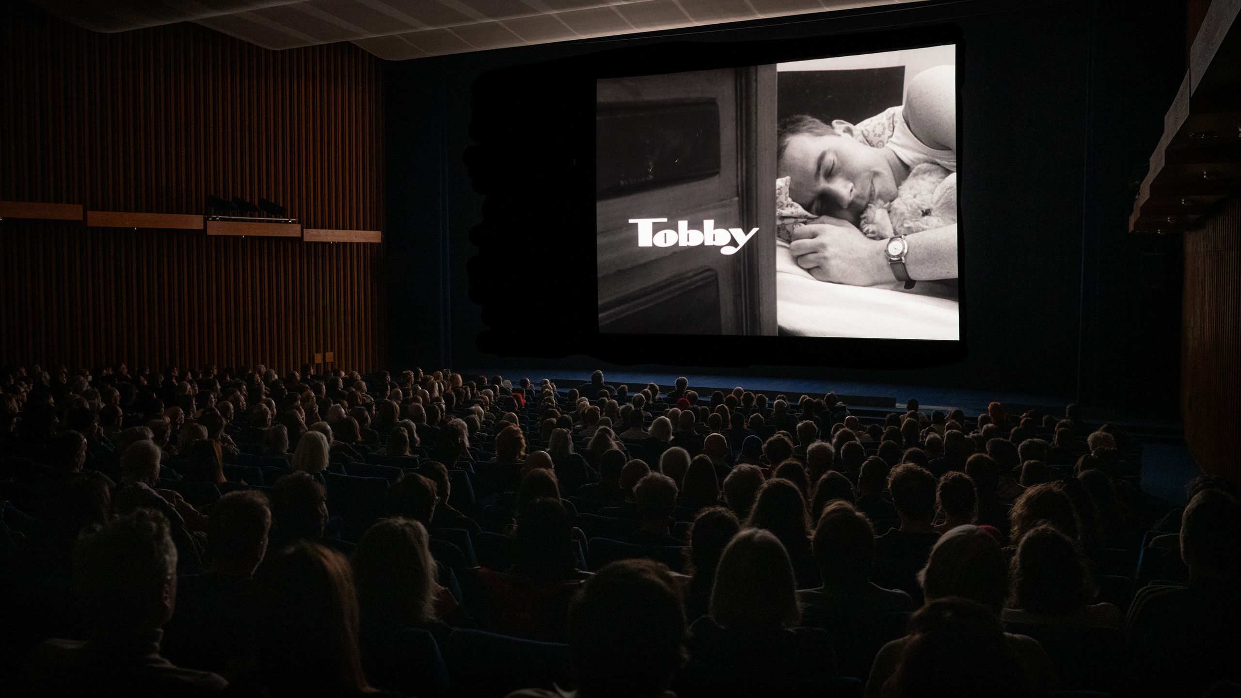 Dunkler Kinosaal: Auf der Leinwand ein schlafender Mann mit einem Teddy im Arm
