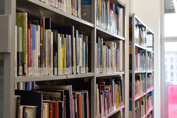 In einem grauen Regal stehen viele Bücher neben einem Fenster mit einer pinkfarbenen Scheibe.