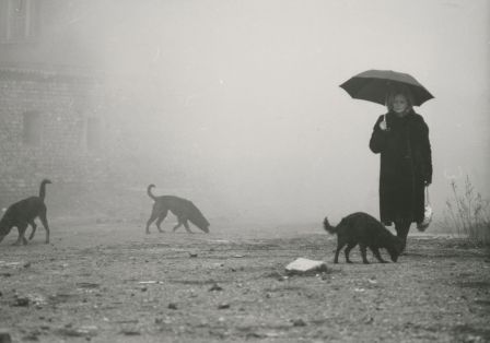 Eine Frau mit Regenschirm und drei Hunde vor einem stark vernebelten Haus.