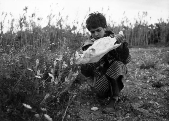 A boy crouches in a field of flowers, holding a fishbone in his hand.