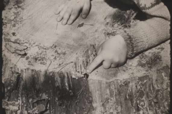 Children’s hands point to a black beetle on tree bark.