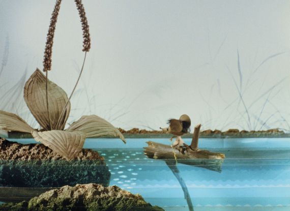 Eine kleine Holzmaus sitzt auf einem Stück Holz, das durch eine Flusslandschaft treibt.