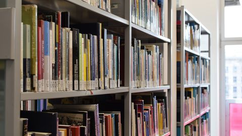 In einem grauen Regal stehen viele Bücher neben einem Fenster mit einer pinkfarbenen Scheibe.