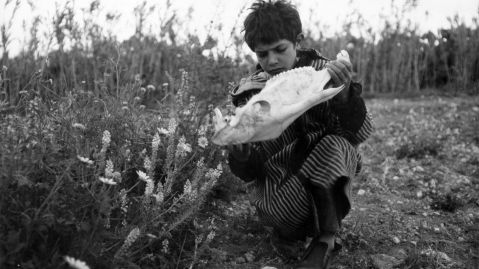 A boy crouches in a field of flowers, holding a fishbone in his hand.