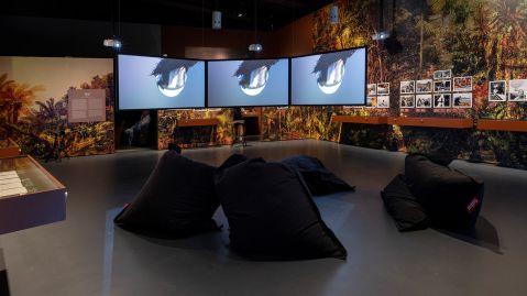 Farbenfroher Ausstellungsraum zu Werner Herzog mit drei Bildschirmen in der Mitte, bunter Tapete, Fotografien an den W&auml;nden und Sitzs&auml;cken im Raum.