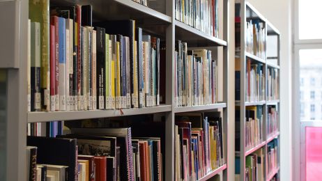 In einem grauen Regal stehen viele Bücher neben einem Fenster mit einer pinkfarbenen Scheibe.