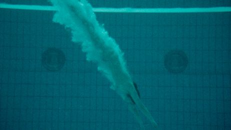 Ein K&ouml;rper taucht stromlinienf&ouml;rmig in ein Schwimmbecken ein.